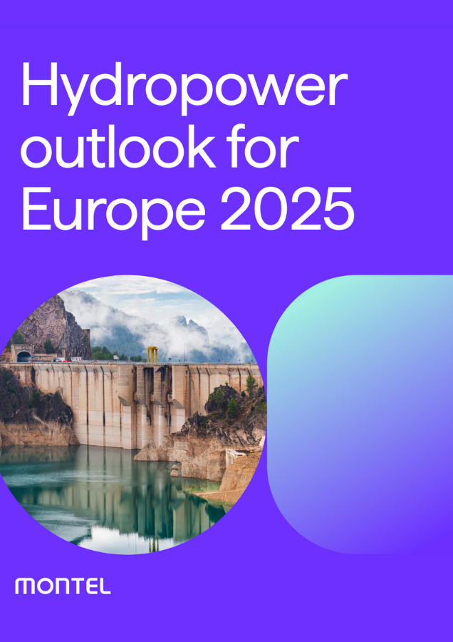 Hydropower outlook for Europe 2025
