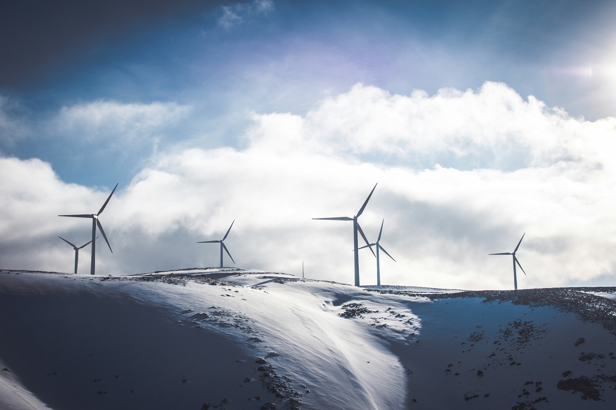White Windfarm