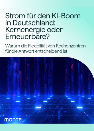 Strom für den KI-Boom: Kernenergie oder Erneuerbare? | Montel