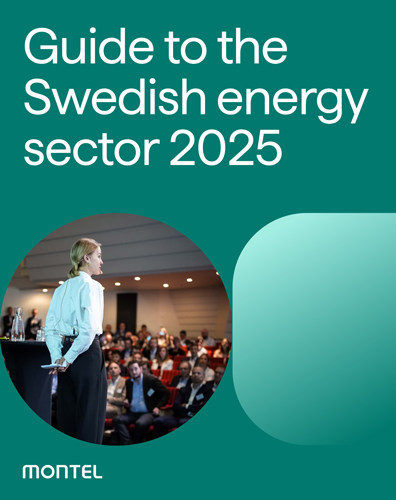 A guide to the Swedish energy sector 2025