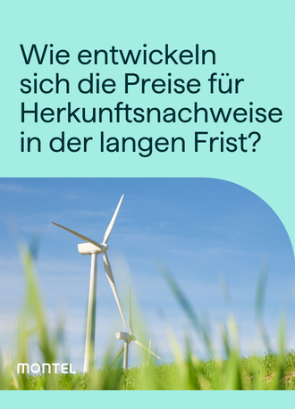 Preisszenarien für Herkunftsnachweise bis 2060