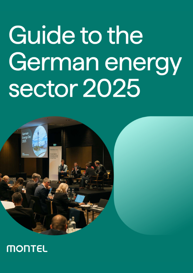 Montel Energy Guide to German energy sector 2025