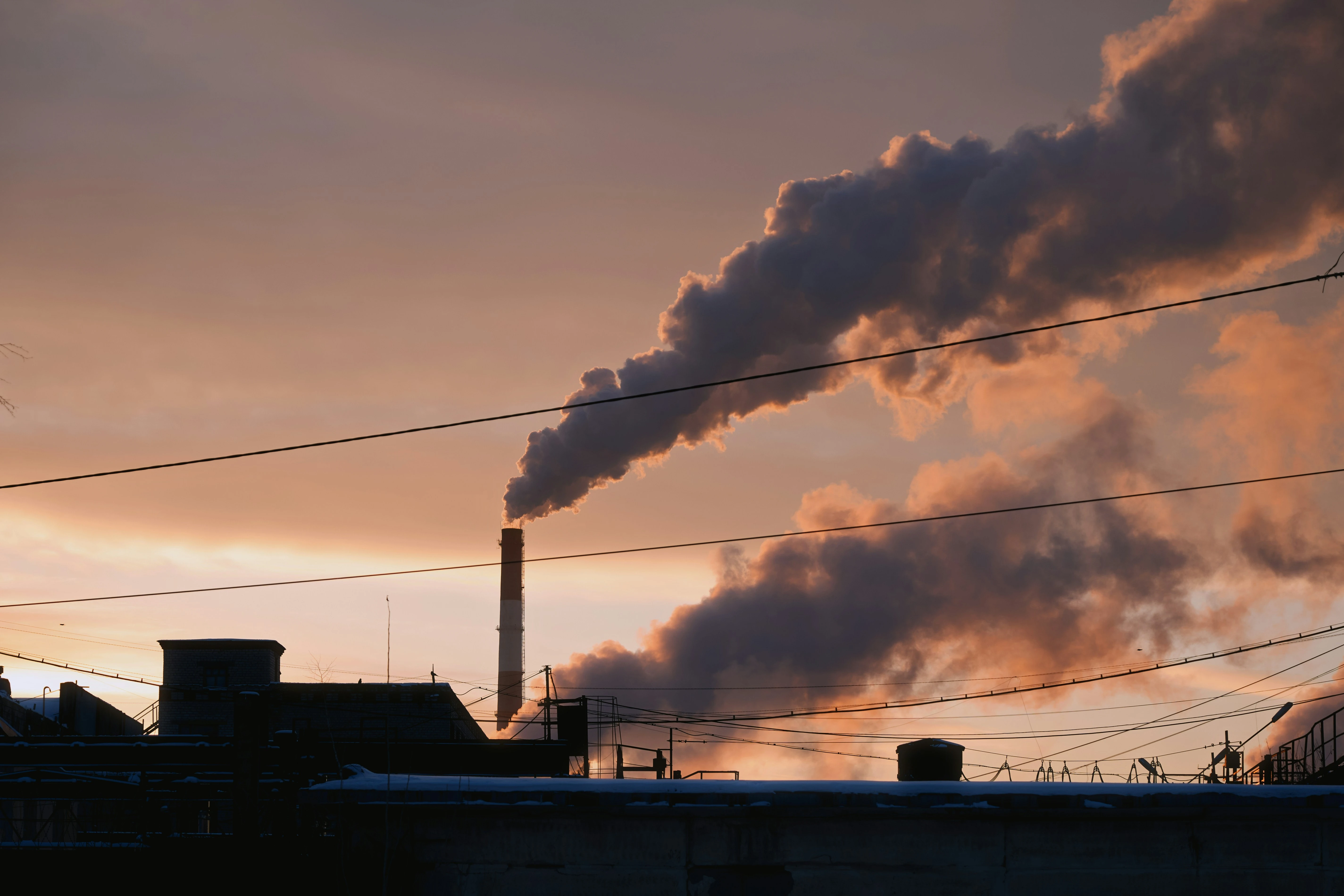 Carbon Market Risk Analysis photo