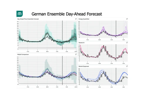 Enappsys Montel | Blog - Forecasting Power Prices: Combining Fundamentals and ...